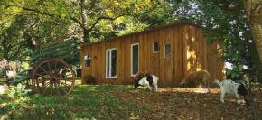 Gîte dans ancien corps de ferme à 5mn de Pompadour